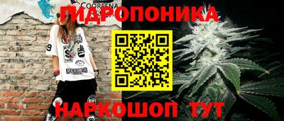 индика Краснокаменск