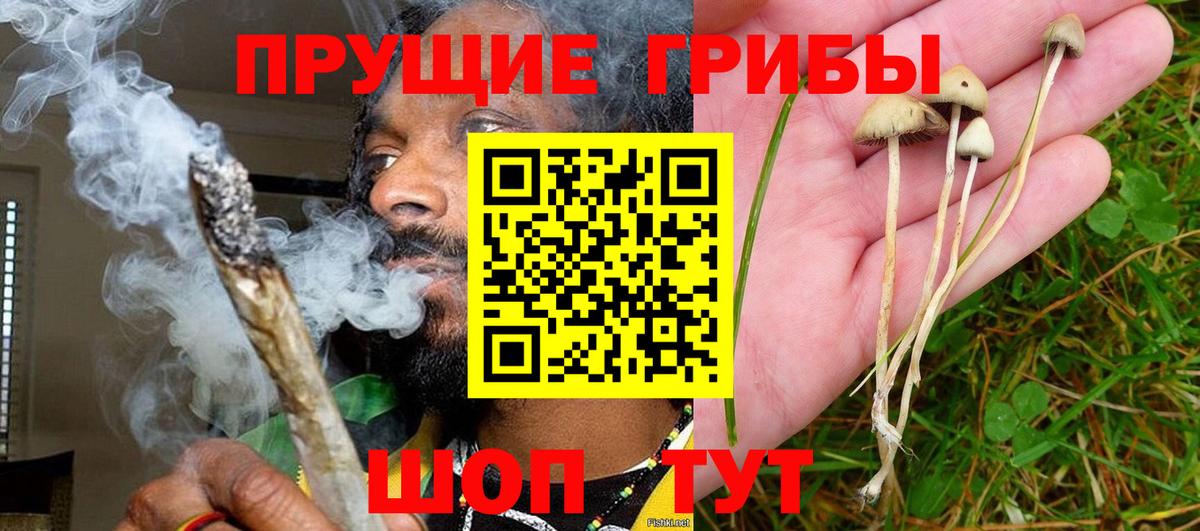 Электрогорск  Галлюциногенные грибы мицелий  Вход с VPN 